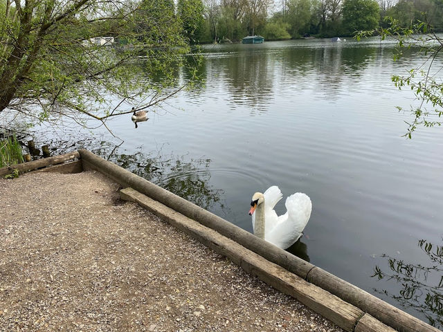  Rickmansworth Aquadrome