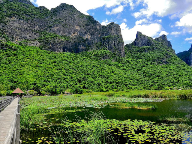 🌹🌷ดูบึง ดูบัว ⛰️🌈