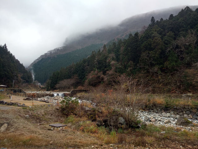 🇯🇵 Jigokudani: A Hot Spring Paradise for Snow Monkeys