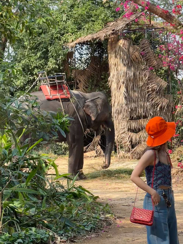 Pattaya （親子旅遊適用）🇹🇭 MongChang Cafe🐘