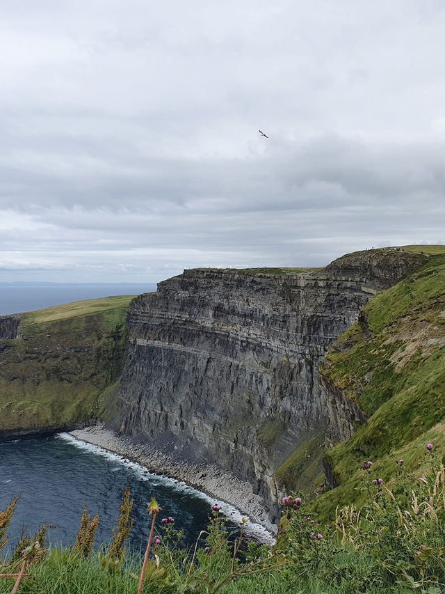 Northern Ireland