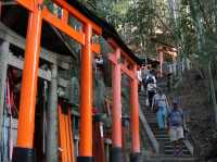 Trail of a Thousand Gates: Discover Fushimi Inari Shrine