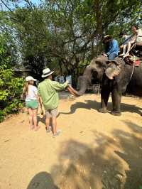 Pattaya Elephant Village 🐘🎋