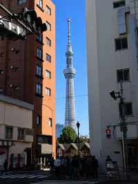 東京市區一日遊 - 晴空塔、淺草寺