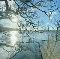 A Hidden Gem of Tranquility: The Lake District, Cumbria 🇬🇧
