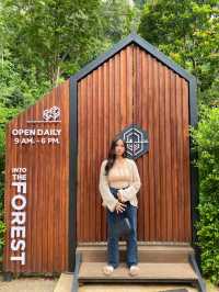Into the forest กระบี่
