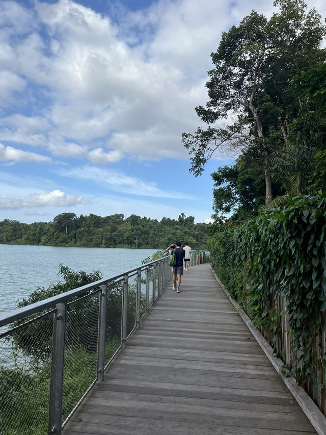 Nature walk with the Wildlife at Mandai