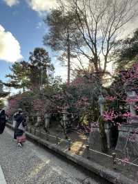 北野天滿宮賞梅