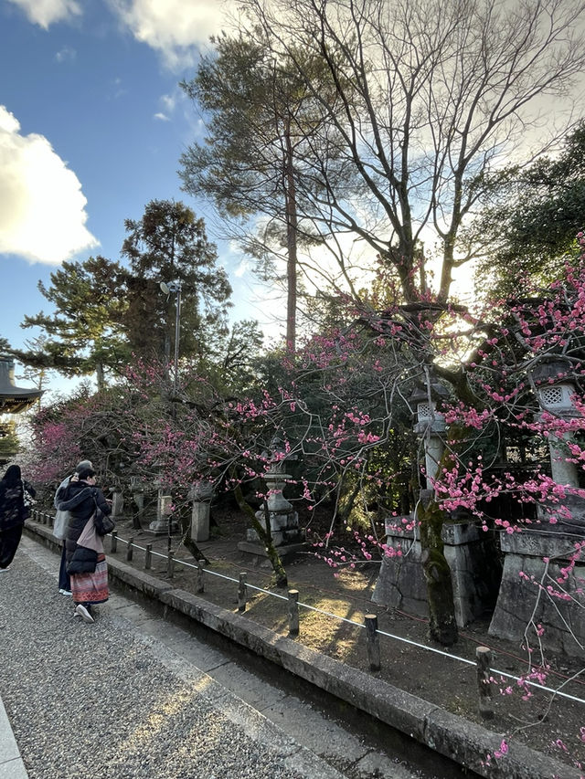 北野天滿宮賞梅