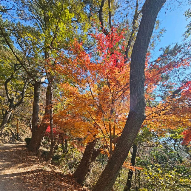 【釜山】這裡擁有多條海岸步道，能夠欣賞南海的壯闊景色。