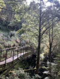 Exploring Tai Ping Shan: Taiwan’s Hidden Outdoor Adventure Paradise