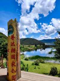 Uncover the Beauty of Pudacuo National Forest Park