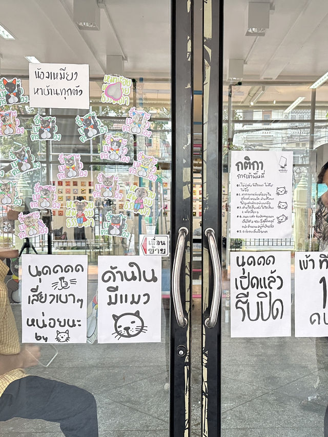ไปจับไข่ เอ๊ยไปงานอัณฑะเหมียวครองเมือง2025