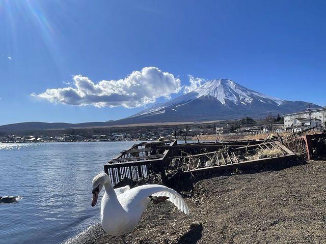 Mount Fuji Japan