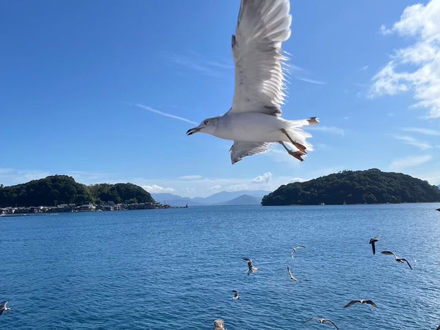 伊根灣的療癒小旅行