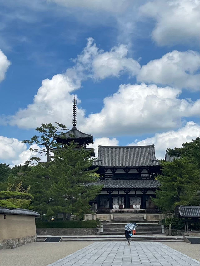 奈良探險記（上）：從世界最古老的木造建築到可愛的鹿群