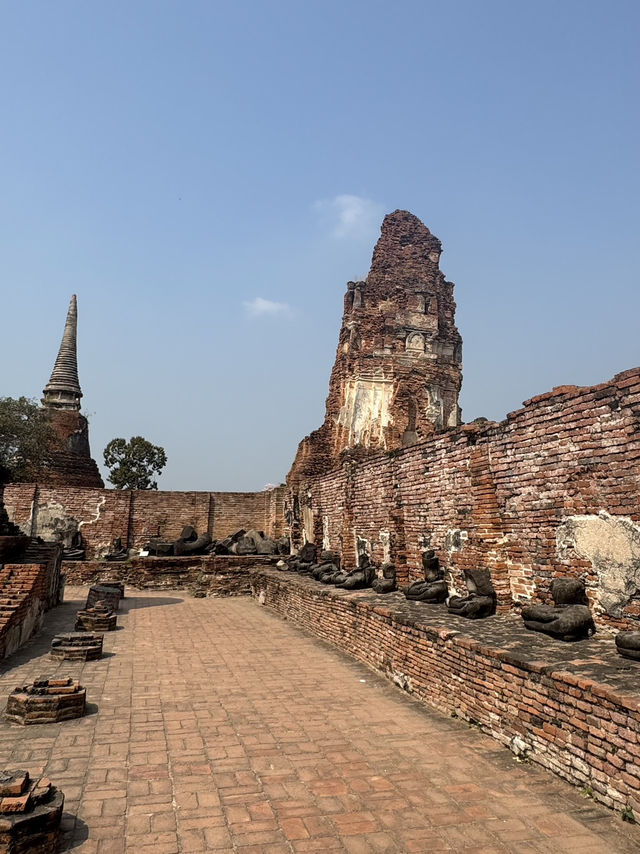 วัดมหาธาตุ อยุธยา – มรดกแห่งความขลังที่ห้ามพลาด