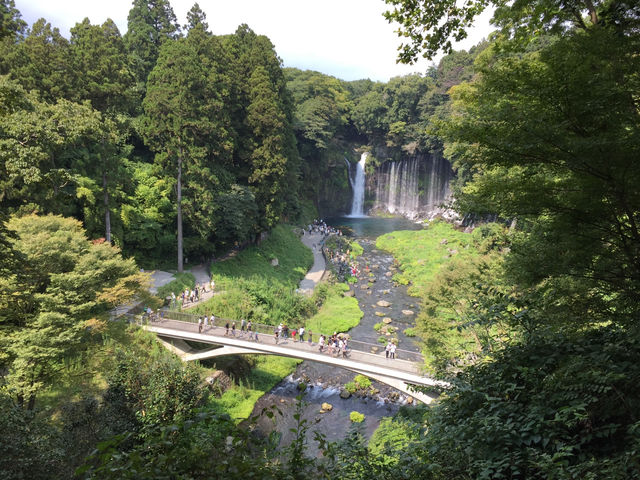 【静岡・富士宮】白糸の滝🗻