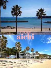 【愛知×吉良海岸】南国を感じられる海水浴場