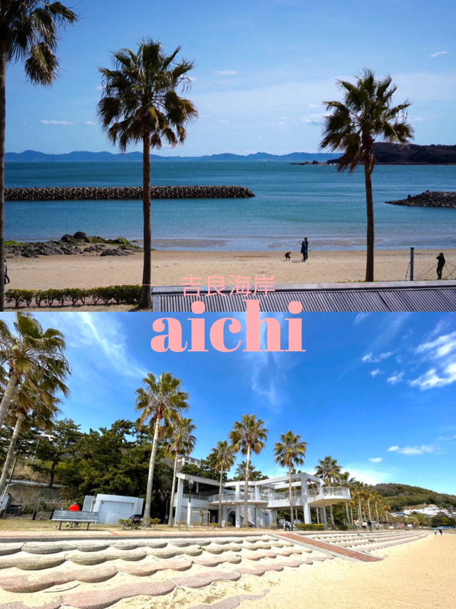 【愛知×吉良海岸】南国を感じられる海水浴場