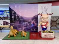 【奈良県】 柿専門店のスイーツはお土産に🛍️