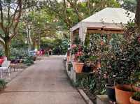 A nice visit to Camellia Hill at Jeju