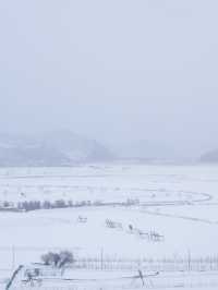 心中的日月：香格里拉納帕海草原的雪後