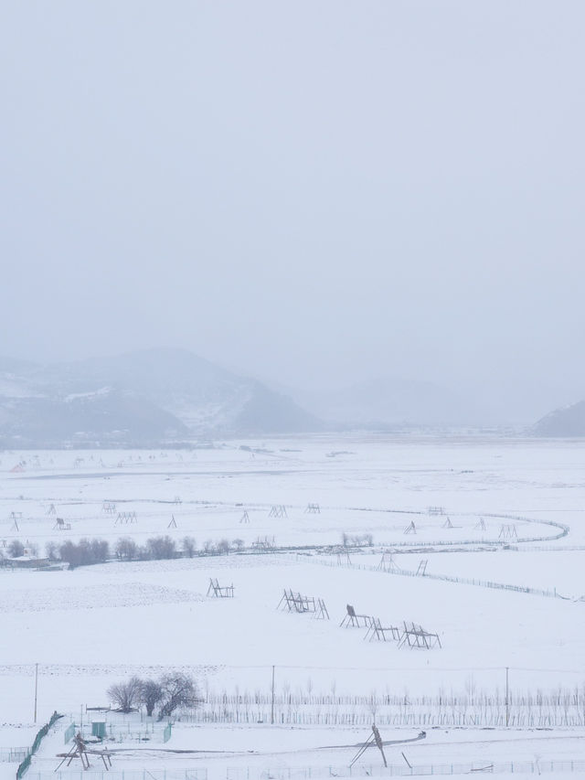 心中的日月：香格里拉納帕海草原的雪後