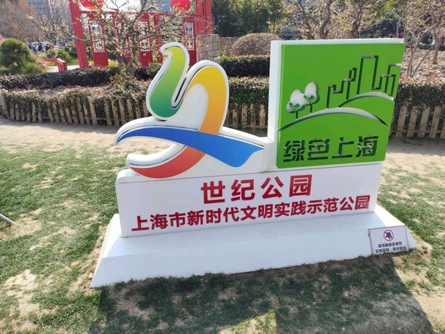 The Beauty of Plum blossoms in March on Century Park Shanghai 世紀公園