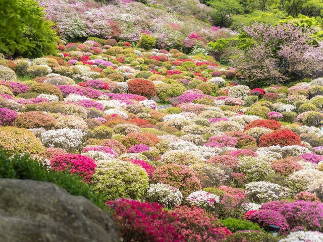四季折々の絶景に感動✨御船山楽園で癒しのひととき