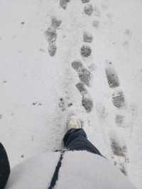 救仁寺📺 冬天去不怕賞不到雪 太多雪了