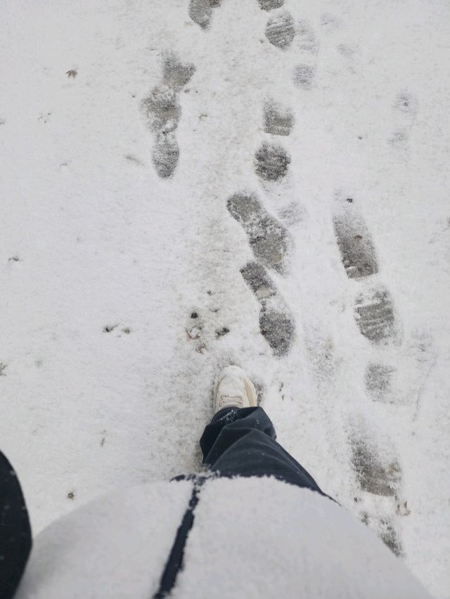 救仁寺📺 冬天去不怕賞不到雪 太多雪了