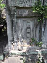 カンボジア🇰🇭ベンメリア遺跡