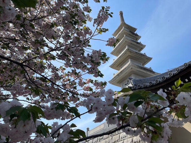 🇯🇵【香川】伊勢朝日山本宮（朝日山森林公園）