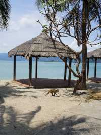 Monkey Island tourist resort
