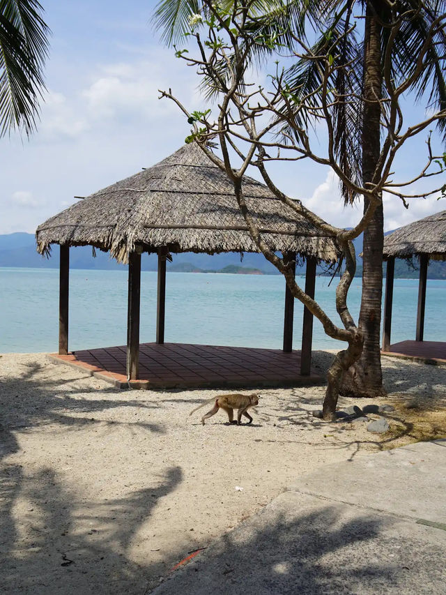 Monkey Island tourist resort