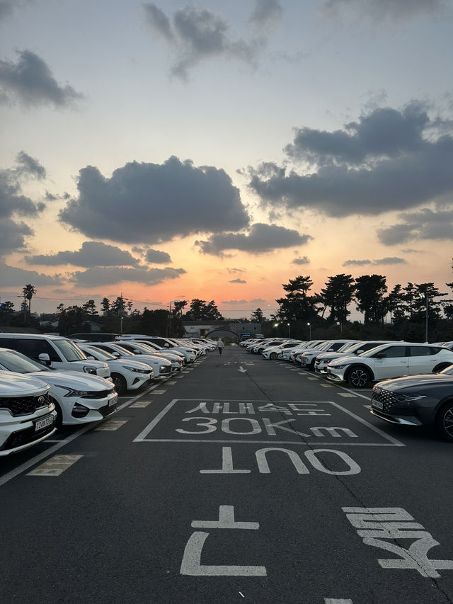 Jeju Day Trip Itinerary