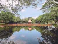 Taman Tasik Taiping: A Tranquil Escape in Malaysia’s Oldest Park