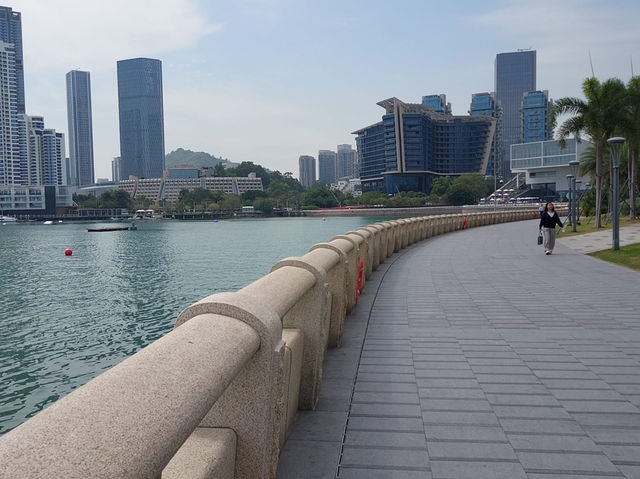 深圳灣海濱長廊：海風輕拂的浪漫之旅 🌊🌅
