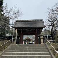 毎年3月上旬に行われる「厄除元三大師大祭」でも有名な深大寺⛩🌿