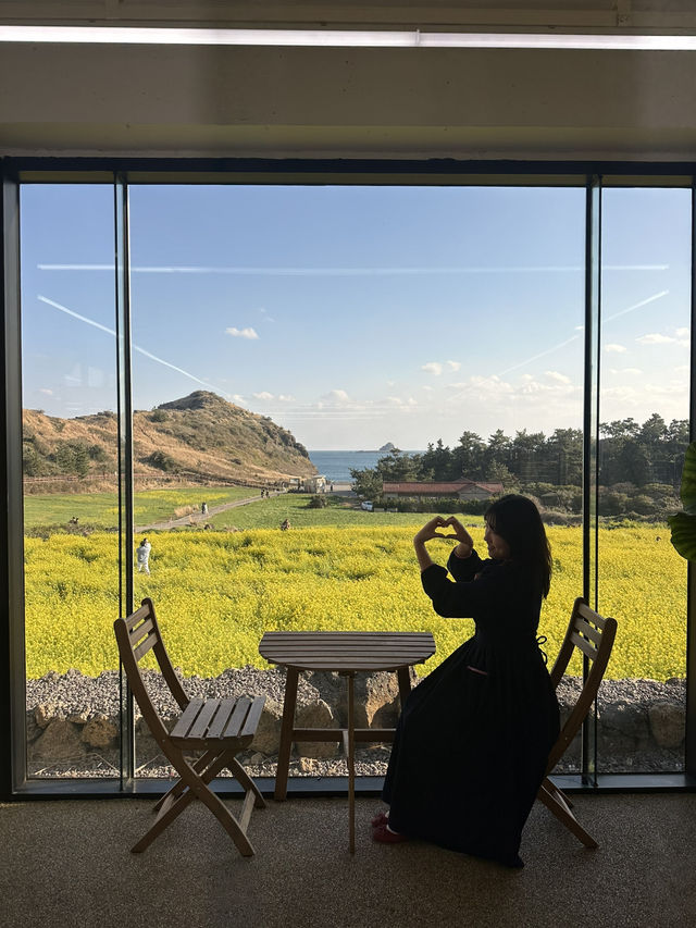 🌼유채꽃밭 지금 가야할 곳🌼