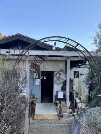 【山口旅行】まるで物語の世界…