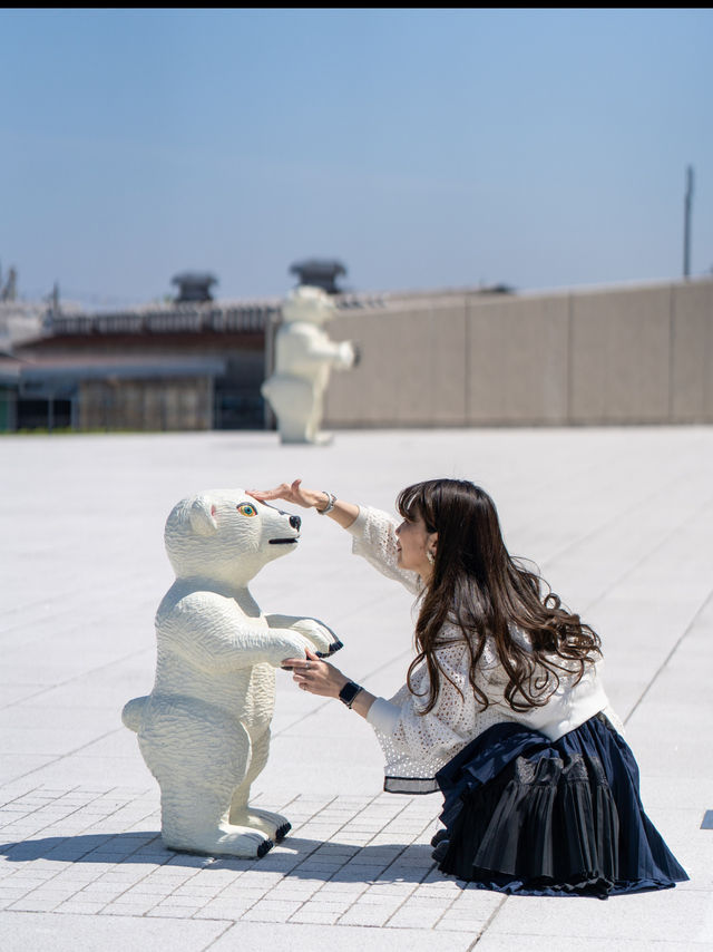 クマ🐻🐻‍❄️を見せると割引に!!『富山県美術館』