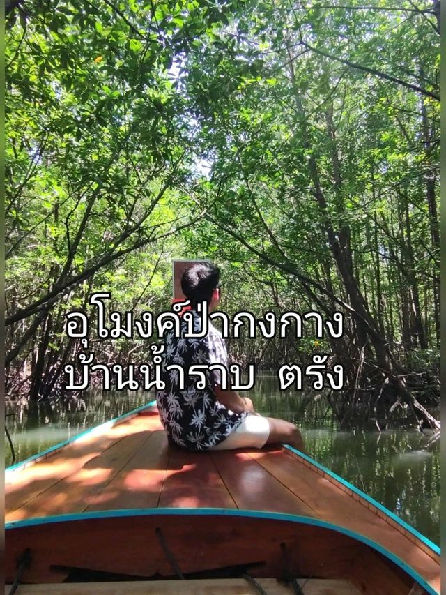 1 Day Trip เที่ยวเขาจมป่า บ้านน้ำราบ จังหวัดตรัง