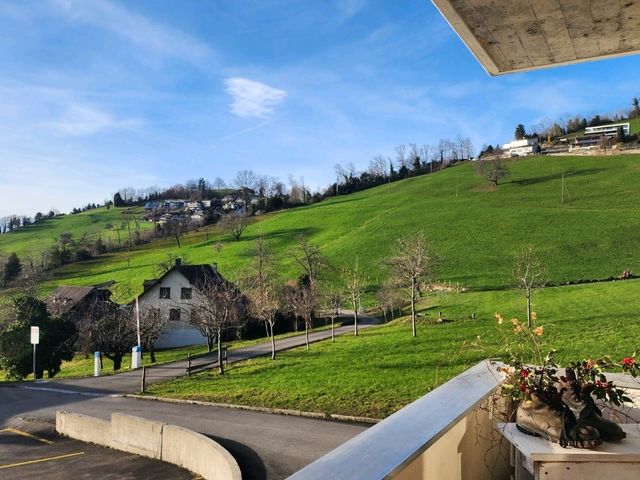 スイスのヴェギッスから楽しむ絶景のケーブルカーとルツェルン湖クルーズ