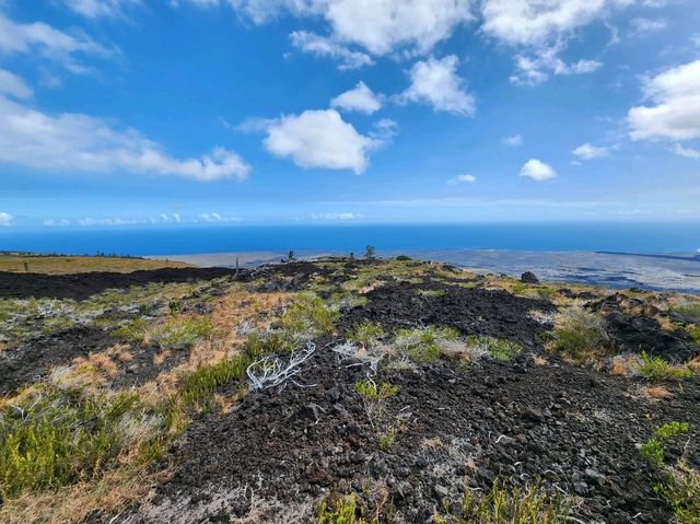 ハワイ島の壮大な火山ドライブ！チェーン・オブ・クレーターズ・ロードとホーレイシーアーチの絶景を巡る