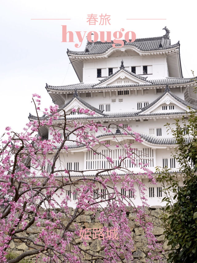 【兵庫×春旅】  日本三名城  白く美しい外観 「姫路城」