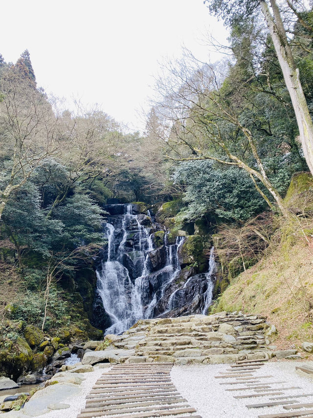 福岡旅遊