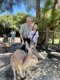 🇦🇺 Perth: Brunch, Wildlife & a Costco Run 🌿🦘