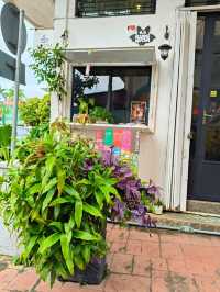 Unlocking the Charm of Kluang: The Amora Experience Awaits!